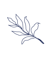 FYM - About Us - Icon Leaves