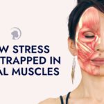 Your Face is Keeping Score: How Stress Gets Trapped in Facial Muscles Blog Banner (1)