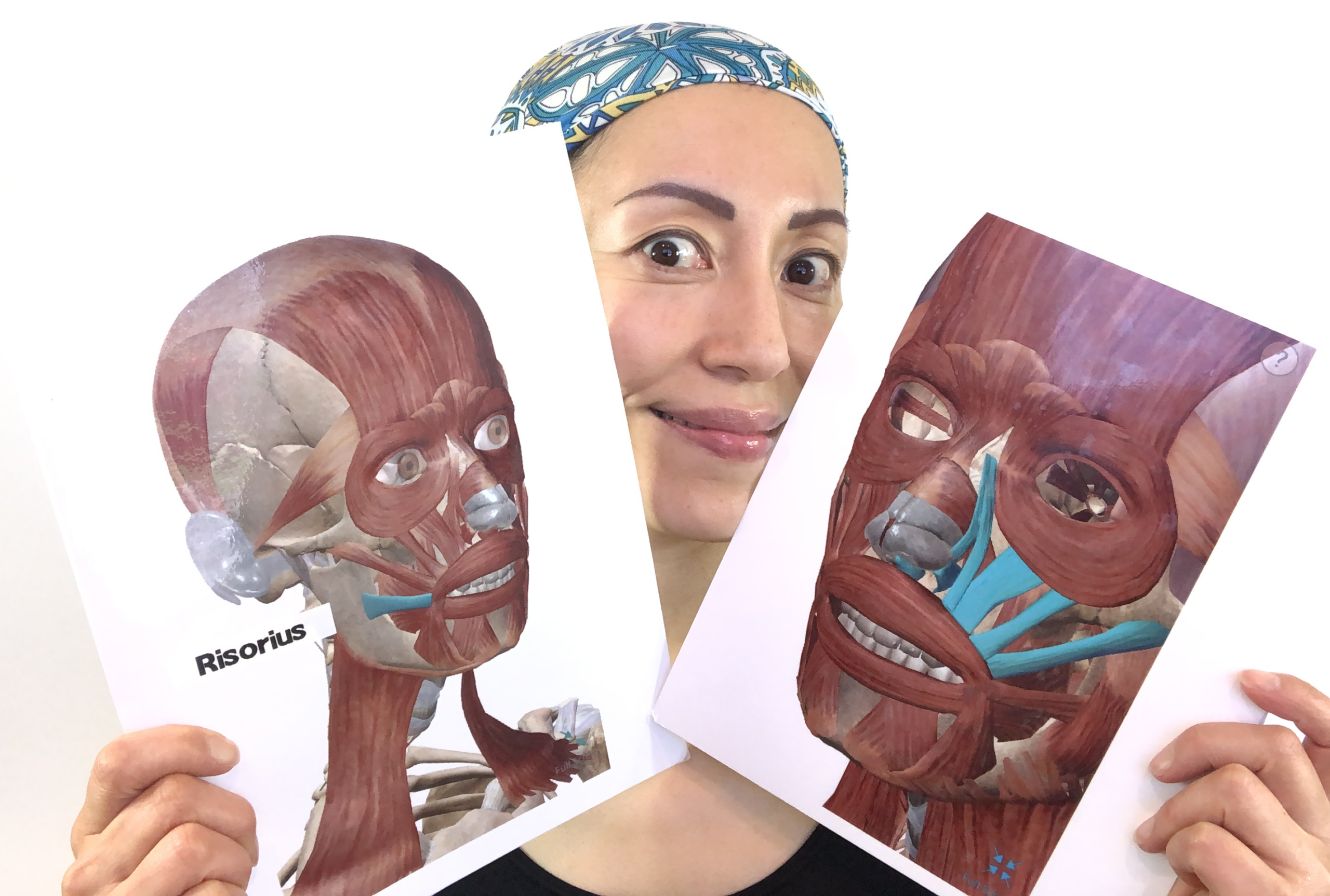 facial muscles face yoga - Face Yoga Method
